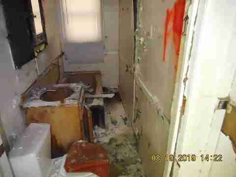 6534 Horatio (6)_m.jpg